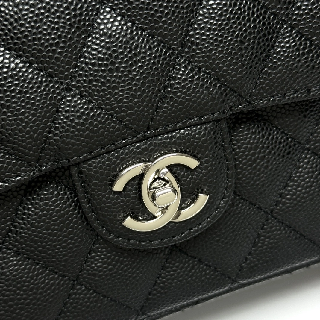 Elegant 289 Chanel AAA Quality Shoulder Bags For Women - Image 4