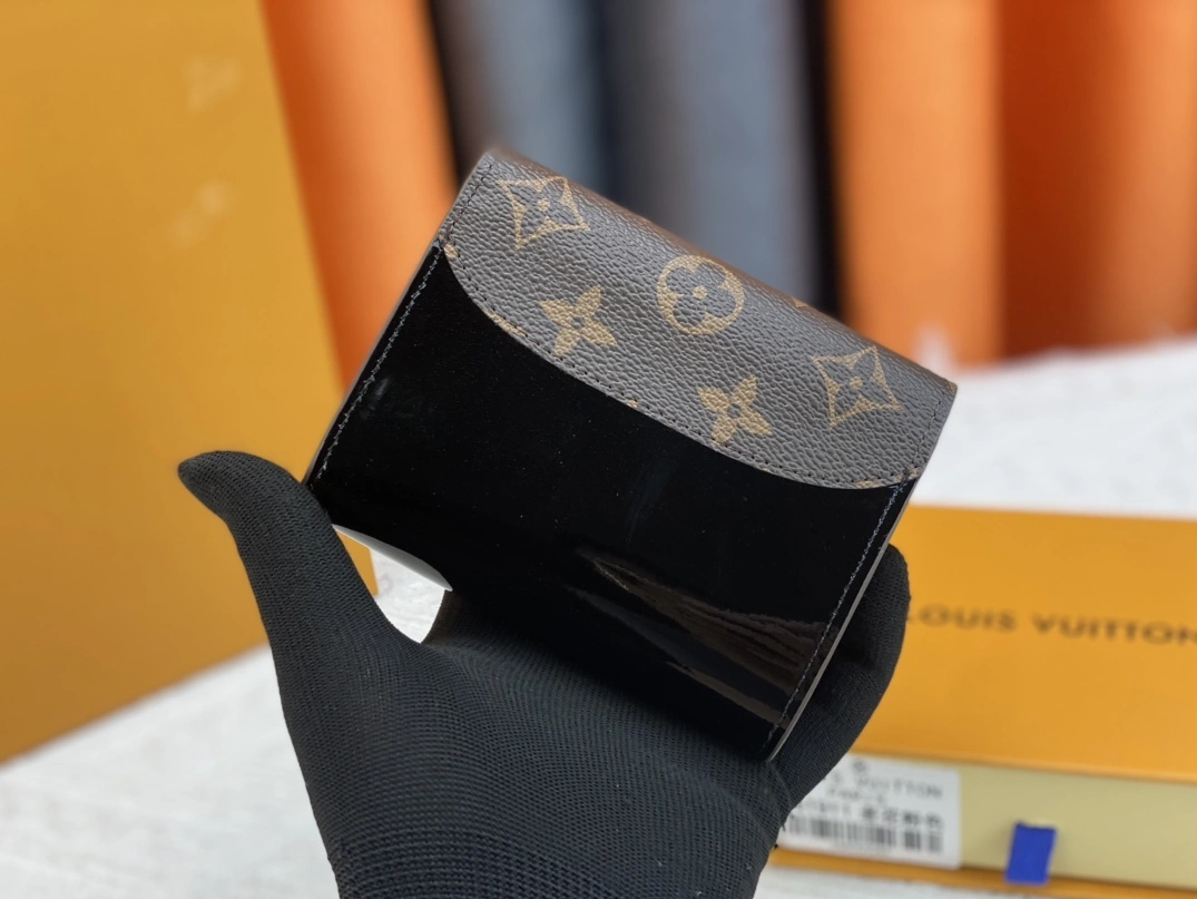 Flexible 2009 Louis Vuitton AAA Quality Wallets For Women