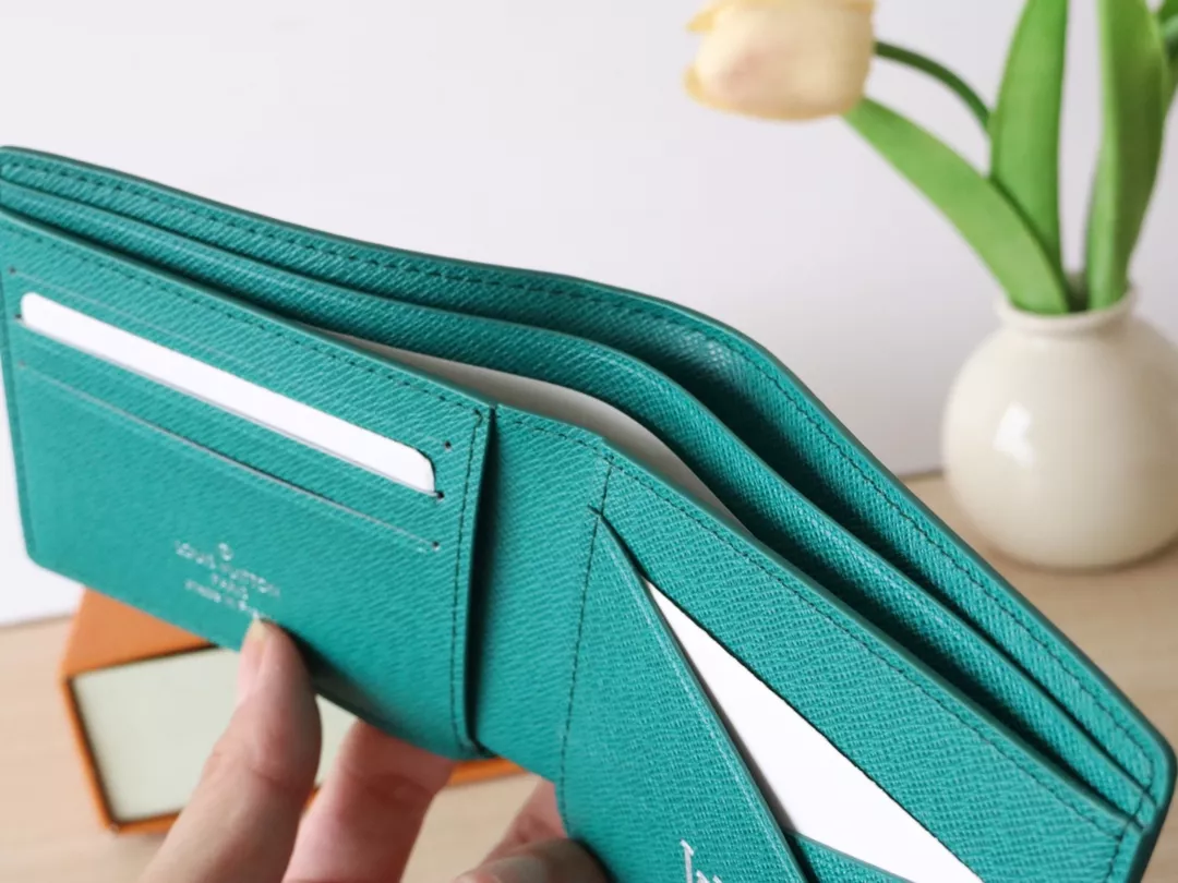 GoAnywhere 256 Louis Vuitton LV Wallets - Image 8