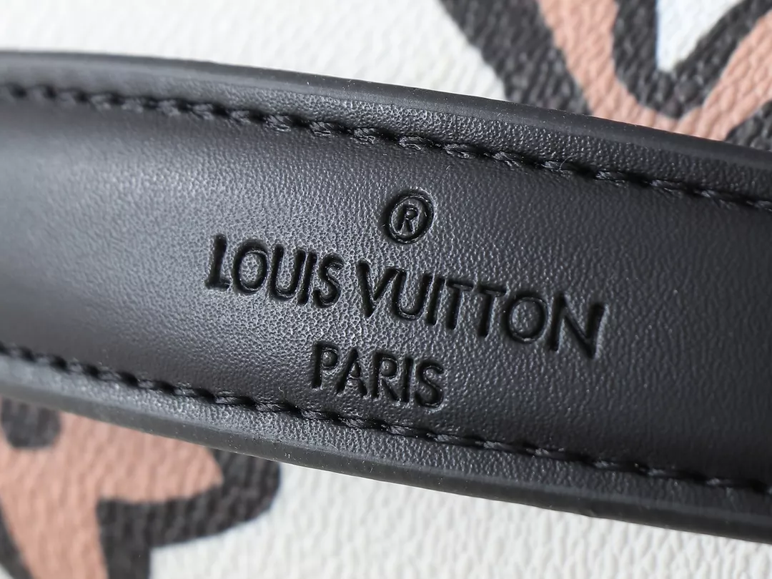 Louis Vuitton AAA Quality Messenger Bags For Women Trendsetting 4237 - Image 5