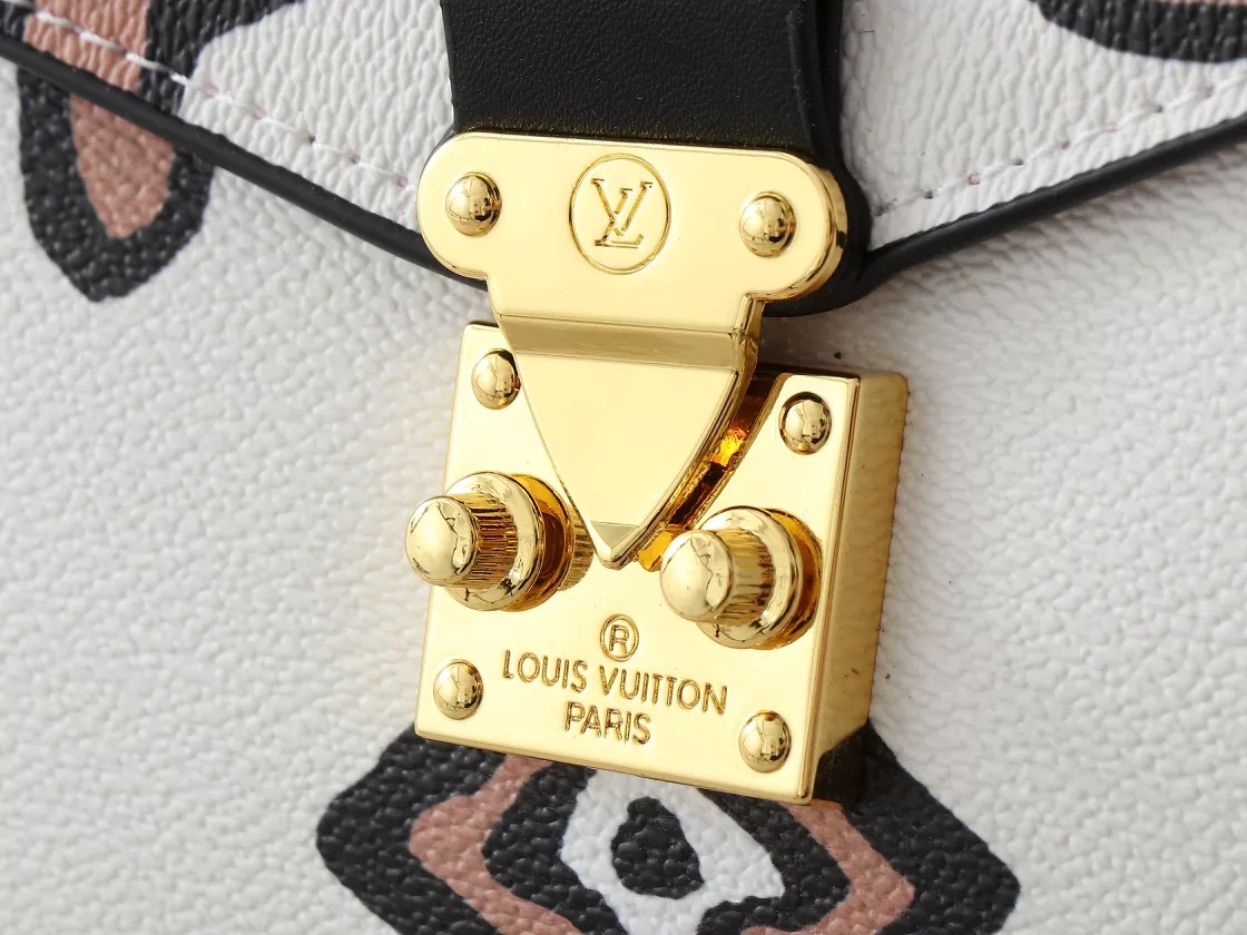 Louis Vuitton AAA Quality Messenger Bags For Women Trendsetting 4237 - Image 6