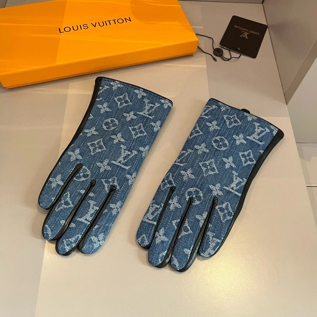 Louis Vuitton LV Gloves For Women Trendy 3091