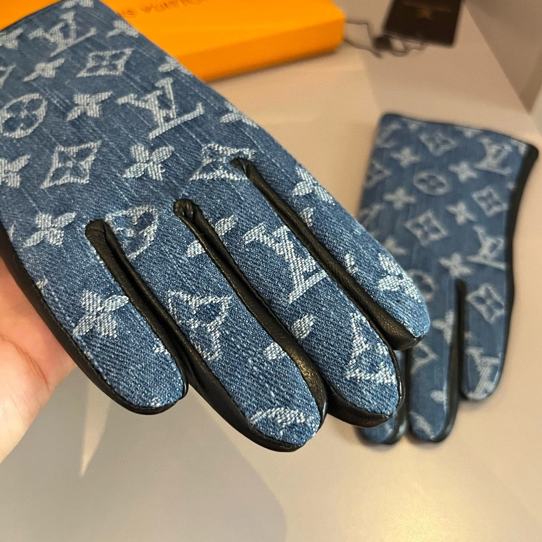 Louis Vuitton LV Gloves For Women Trendy 3091 - Image 5