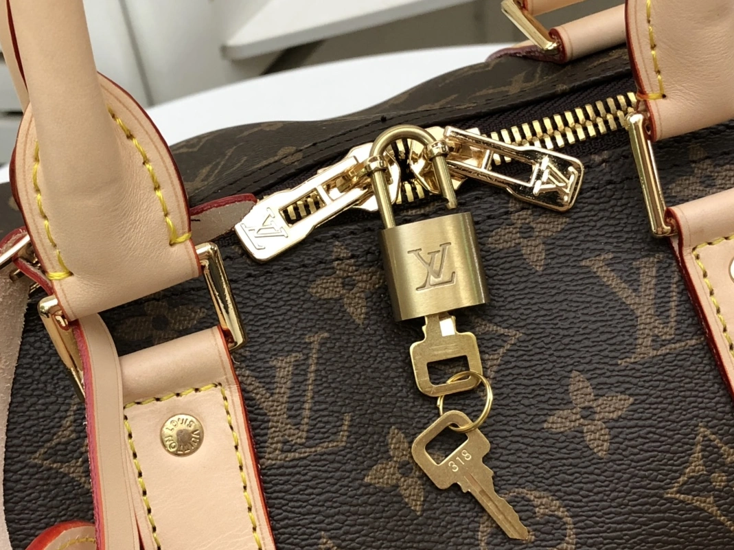 Reliable 8824 Louis Vuitton Travel Bags - Image 5