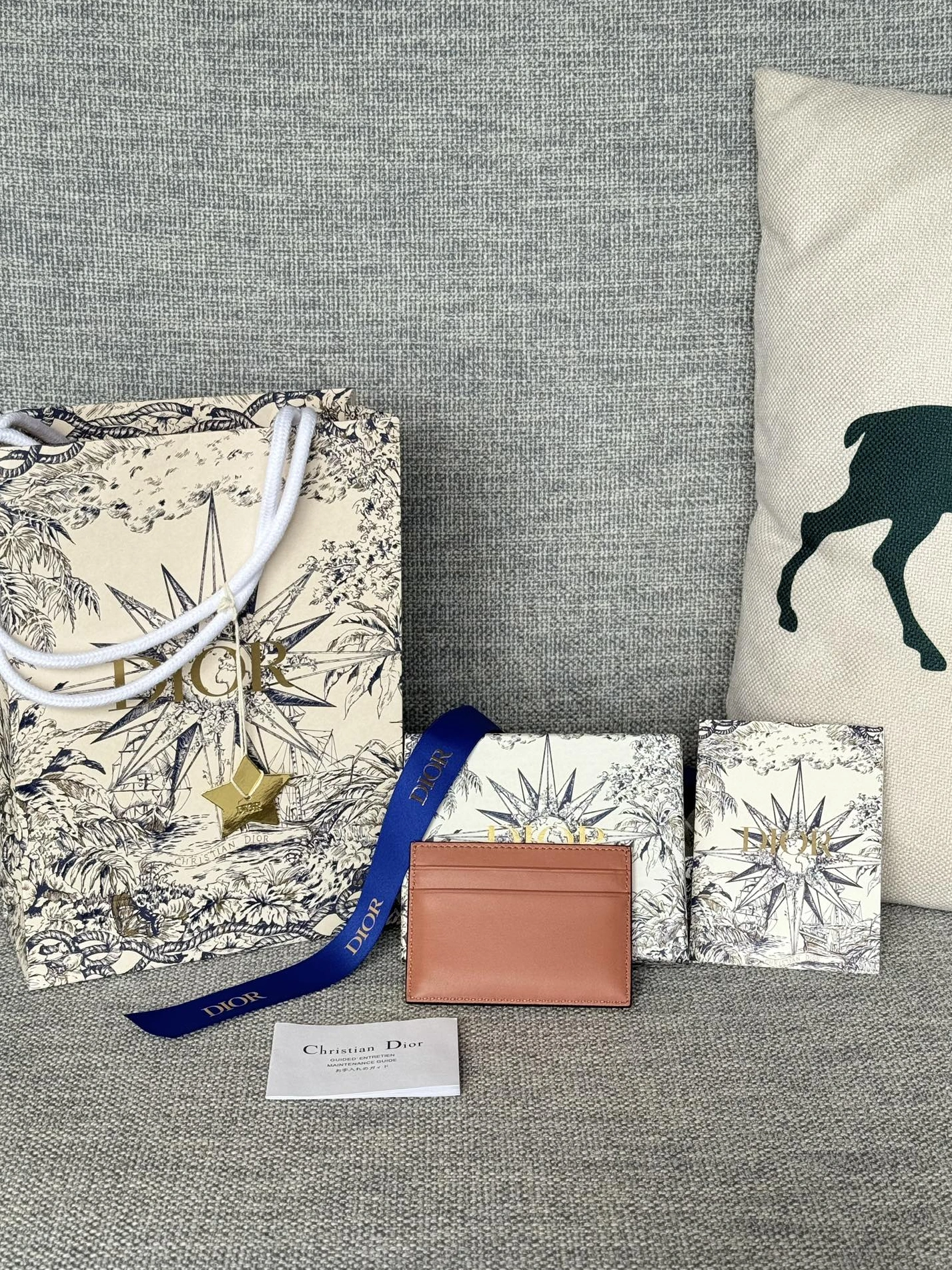 Resilient 9459 Christian Dior Card Case