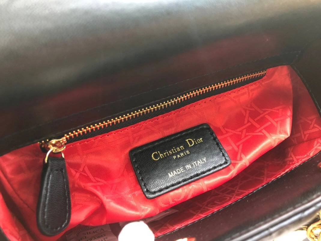 Sleek 1799 Christian Dior AAA Handbags - Image 6