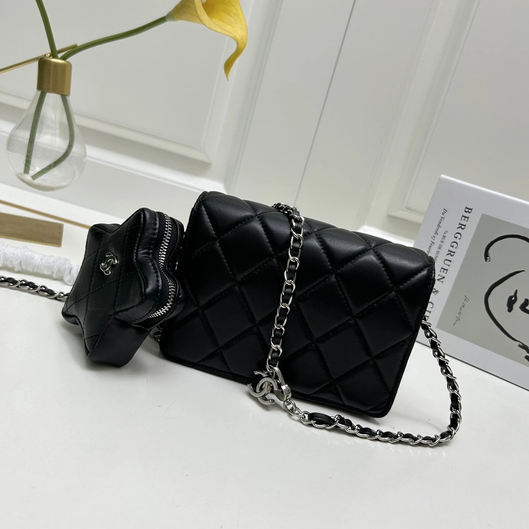 Timeless 6595 Chanel AAA Quality Messenger Bags For Women - Image 3