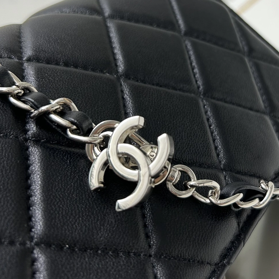 Timeless 6595 Chanel AAA Quality Messenger Bags For Women - Image 5