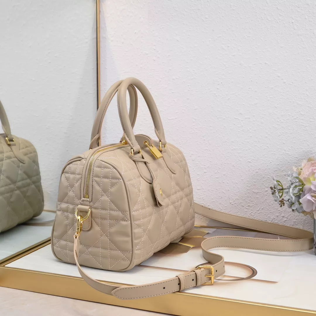 Vibrant 2280 Christian Dior AAA Quality Handbags For Women