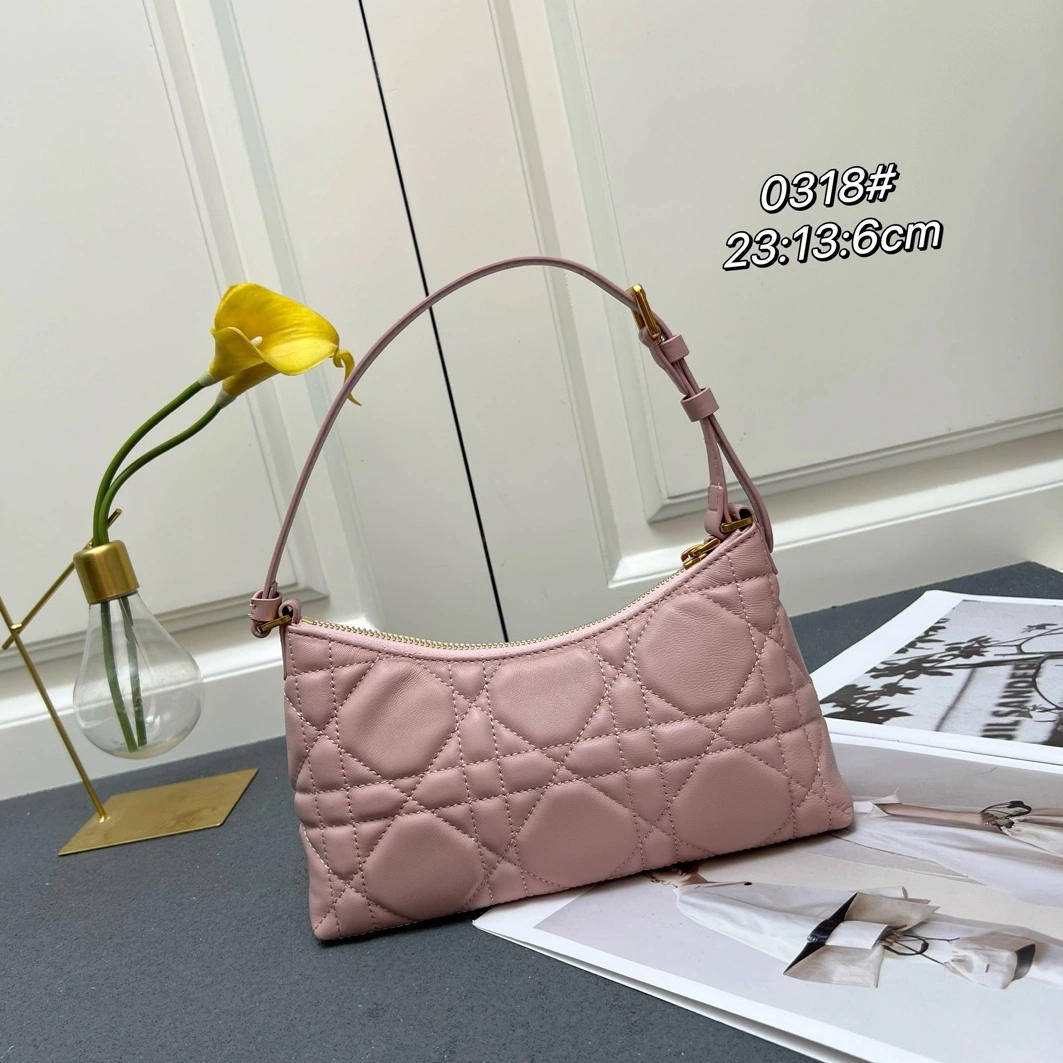 WellDesigned 6517 Christian Dior AAA Quality Shoulder Bags For Women