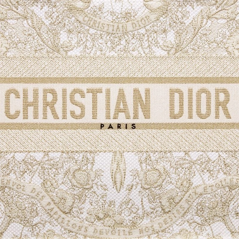 Dior Book Tote Butterfly Around The World Motif Canvas White Gold - Image 5