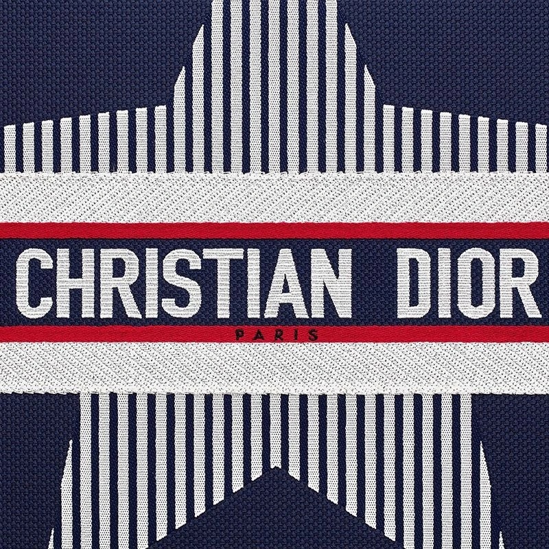 Dior Book Tote DiorAlps Motif Canvas Blue - Image 4