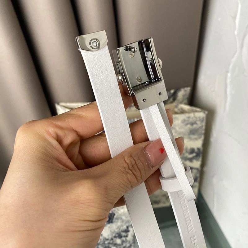 Diorpolytechnique Belt Smooth Calfskin White Silver - Image 3