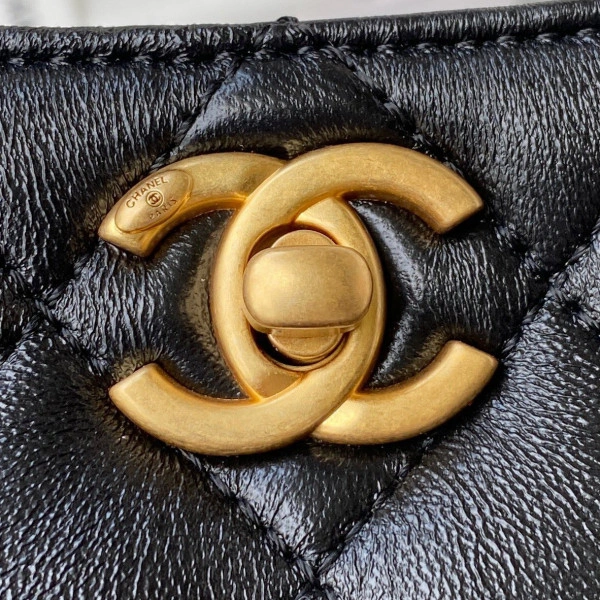 CHANEL HOBO HANDBAG DailyWear 1660 - Image 4