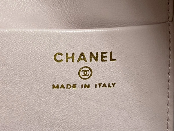 GoAnywhere CHANEL BACKPACK 120 - Image 10